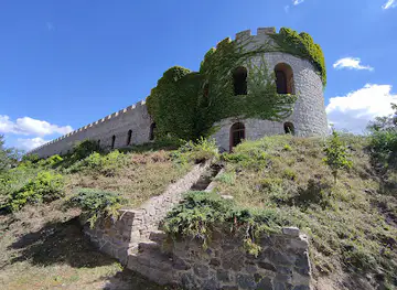Cherlenkivskyy castle