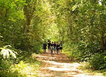 vietnam/cat-ba-island/landmark/cong-chao-lang-viet-hai