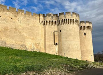 france/avignon/pont-saint-benezet/landmark/fort-saint-andre