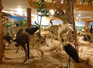 new-mexico/farmington/landmark/bolack-museum-of-fish-and-wildlife