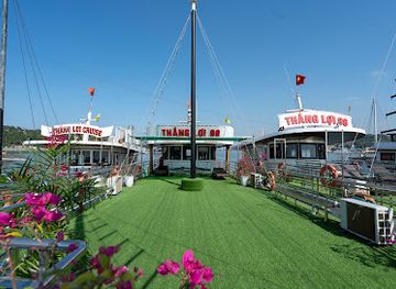 vietnam/ha-long-bay/landmark/tau-thang-loi-99