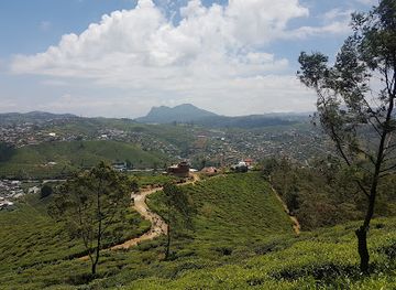 sri-lanka/hill-country/landmark/single-tree-hill