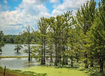 mississippi/the-delta/landmark/great-river-road-state-park