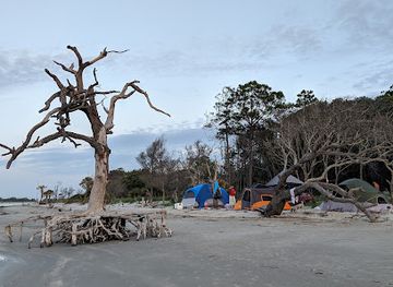 south-carolina/sea-islands/landmark/capers-island-south-carolina