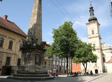 romania/cluj-napoca/landmark/franciscan-temple
