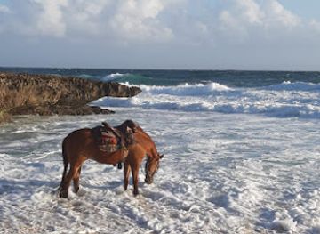 aruba/noord/landmark/rancho-notorious