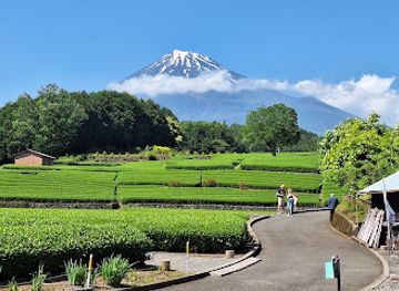 japan/tajima/landmark/obuchi-sasaba