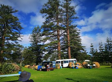 norfolk-island/cascade/landmark/pinetree-tours