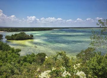 kenya/watamu/landmark/mida-creek