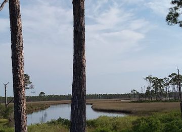 florida/big-bend/landmark/bald-point-state-park