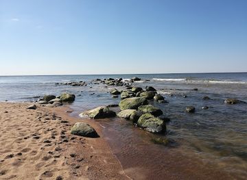 lithuania/nida-beach/landmark/palangos-gintaro-muziejus