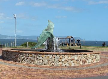 south-africa/overberg/landmark/hermanus-whale-cruises