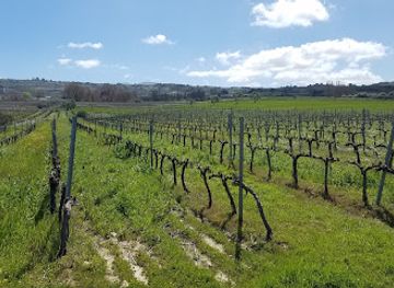 spain/ronda/landmark/bodega-garcia-hidalgo