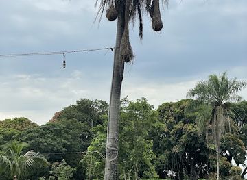 bolivia/santa-cruz-de-la-sierra/landmark/lomas-de-arena-regional-park
