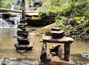 south-carolina/sandhills/landmark/yellow-branch-falls