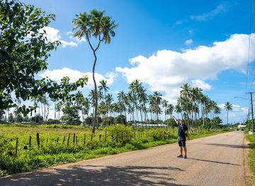 tonga/tongatapu-coastline/landmark/3-headed-coconut