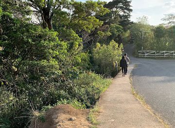 costa-rica/monteverde/landmark/ficus-la-raiz