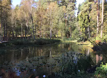 Forest Arboretum of Warmia i Mazur