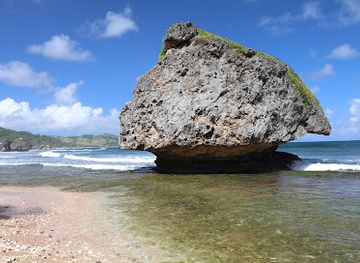 barbados/west-coast/landmark/hunte-s-gardens