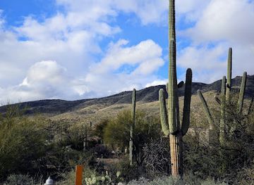 arizona/tucson-mountain-park/landmark/agua-caliente-regional-park