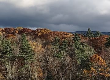 vermont/green-mountains-national-forest/landmark/green-mountain-national-forest-manchester-ranger-station