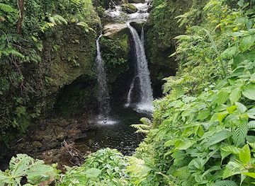 dominica/castle-bruce-beach/landmark/jacko-falls
