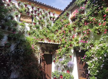 spain/cordoba/san-basilio/landmark/patios-de-san-basilio