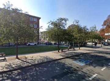 germany/dusseldorf/oberkassel/landmark/kirschblute-cherry-blossom
