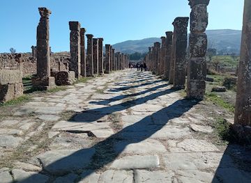 algeria/chelif-plain/landmark/roman-ruins