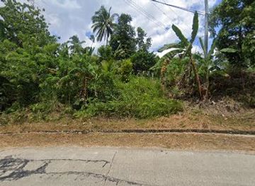 philippines/bohol/landmark/no-place-to-show