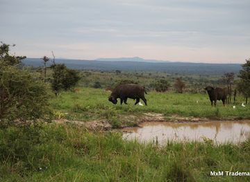 uganda/kidepo-valley-national-park/landmark/queen-elizabeth-national-park