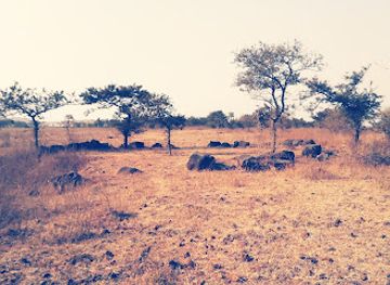 india/northern-plains/landmark/megalithic-stone-circles-junapani