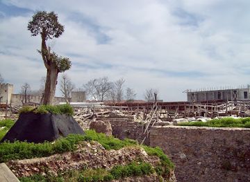 turkiye/troad/landmark/great-palace-ruins