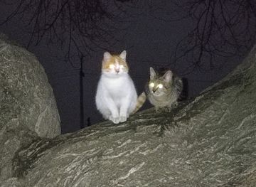 kazakhstan/zhezkazgan/landmark/legend