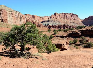 utah/escalante/landmark/circle-d-restaurant