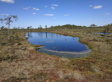 estonia/soomaa-national-park/landmark/hupassaare-opperada