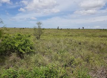 texas/south-plains/landmark/palo-alto-battlefield-national-historical-park
