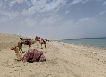 qatar/khor-al-adaid-inland-sea/landmark/inland-sea-beach