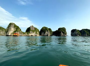 vietnam/cat-ba-island/landmark/langur-s-adventures