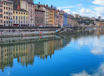 Fresque des Lyonnais