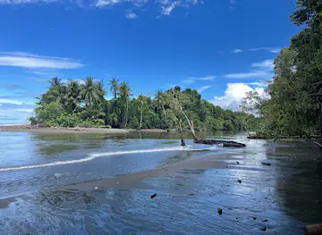 Parque Nacional Corcovado
