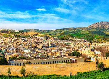 morocco/fes/fes-el-bali/landmark/belvedere-vue-sur-medina