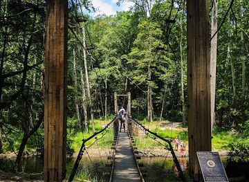 ohio/mohican-state-park/landmark/mohican-state-park-cable-bridge