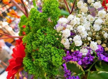 netherlands/leiden/landmark/oostelijke-handelskade-34