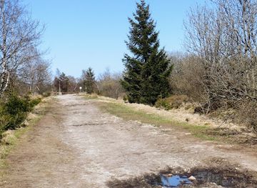 belgium/hautes-fagnes/landmark/cross-of-the-engaged
