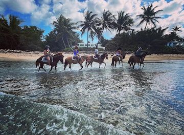 puerto-rico/vieques/landmark/colon-horseback-riding