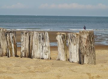 belgium/the-belgian-coast/landmark/zwin-natuur-park