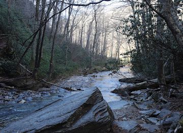 north-carolina/pisgah-national-forest/landmark/pink-beds-trail-loop