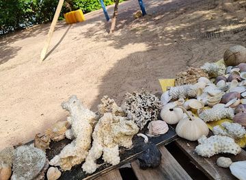 tanzania/tanga/landmark/toten-island