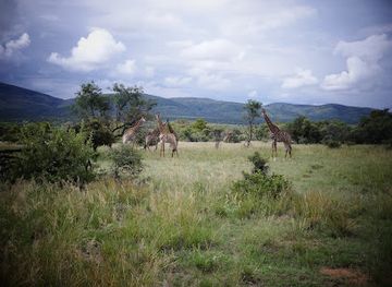 south-africa/waterberg/landmark/feracare-wildlife-centre